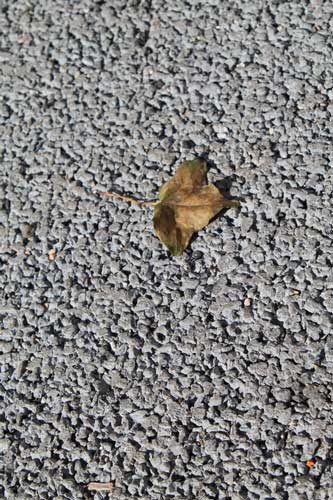 béton drainant